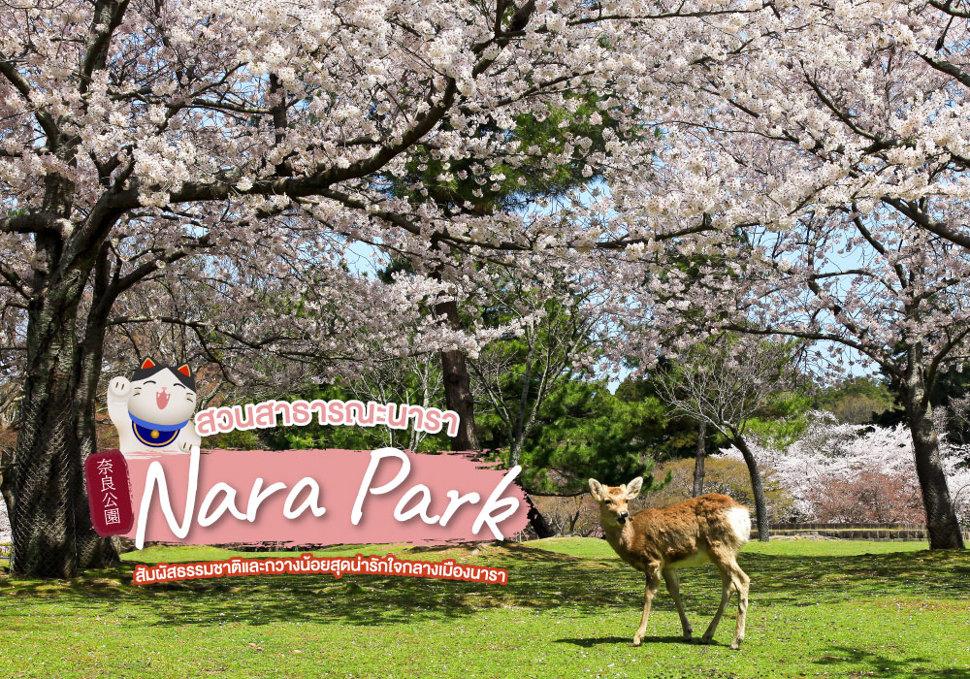 สวนสาธารณะนารา Nara Park