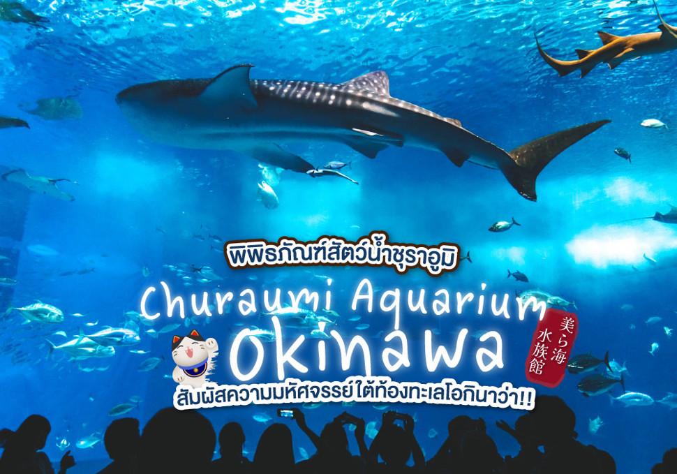 สัมผัสความมหัศจรรย์ใต้ท้องทะเลโอกินาว่า ที่ พิพิธภัณฑ์สัตว์น้ำชุราอูมิ Okinawa Churaumi Aquarium 