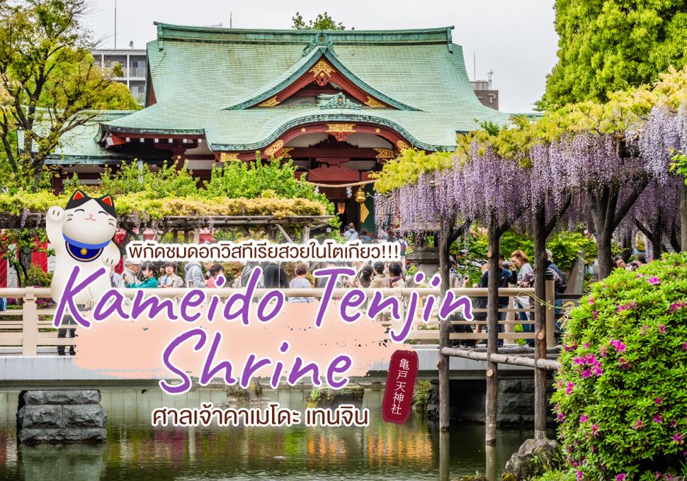 ศาลเจ้าคาเมโดะ เทนจิน Kameido Tenjin Shrine พิกัดชมดอกวิสทีเรียสวยในโตเกียว