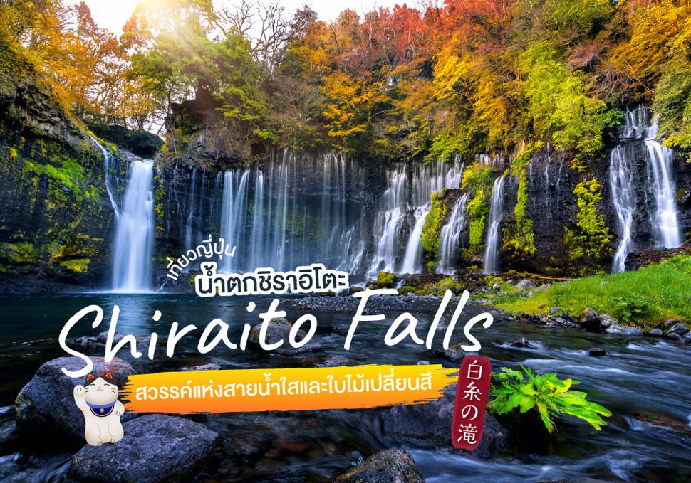 เที่ยวญี่ปุ่น น้ำตกชิราอิโตะ Shiraito Falls สวรรค์แห่งสายน้ำใสและใบไม้เปลี่ยนสี