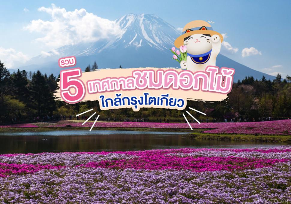 รวม 5 เทศกาลชมดอกไม้ ใกล้กรุงโตเกียว