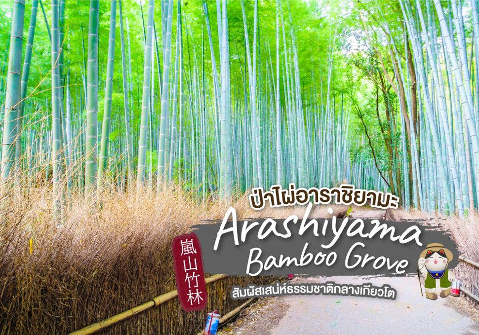 ป่าไผ่อาราชิยามะ Arashiyama Bamboo Grove 