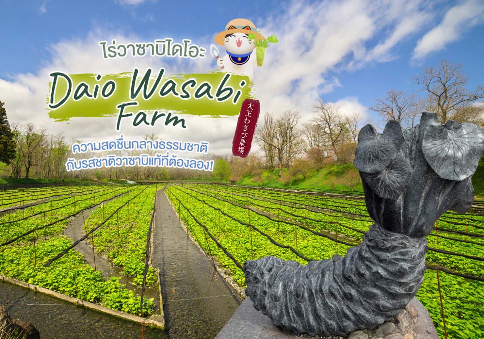 ไร่วาซาบิไดโอะ Daio Wasabi Farm ความสดชื่นกลางธรรมชาติกับรสชาติวาซาบิแท้ที่ต้องลอง!