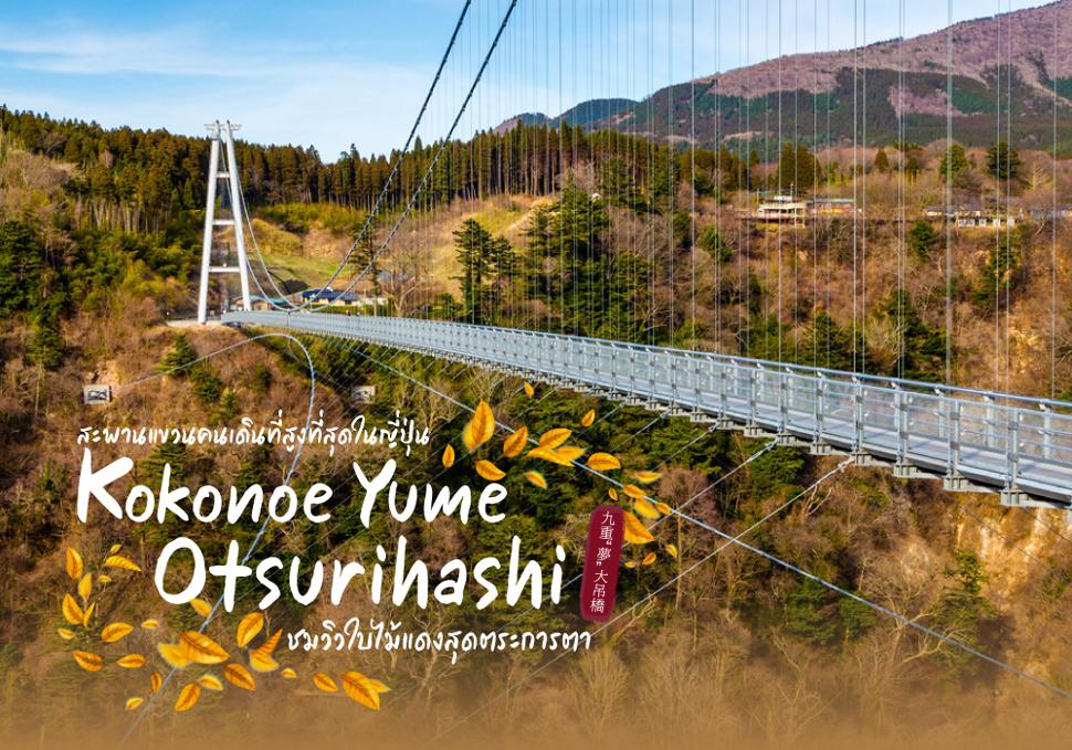 Kokonoe Yume Otsurihashi สะพานแขวนคนเดินที่สูงที่สุดในญี่ปุ่น ชมวิวใบไม้แดงสุดตระการตา
