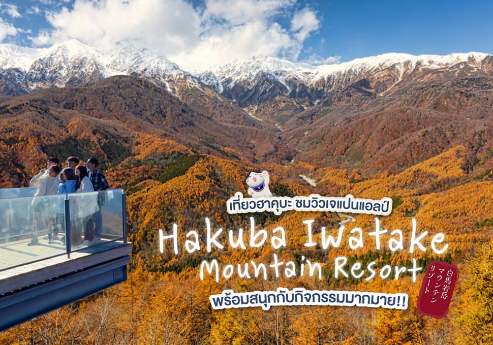 เที่ยวฮาคุบะ ชมวิวเจแปนแอลป์ ที่ Hakuba Iwatake Mountain Resort พร้อมสนุกกับกิจกรรมมากมาย