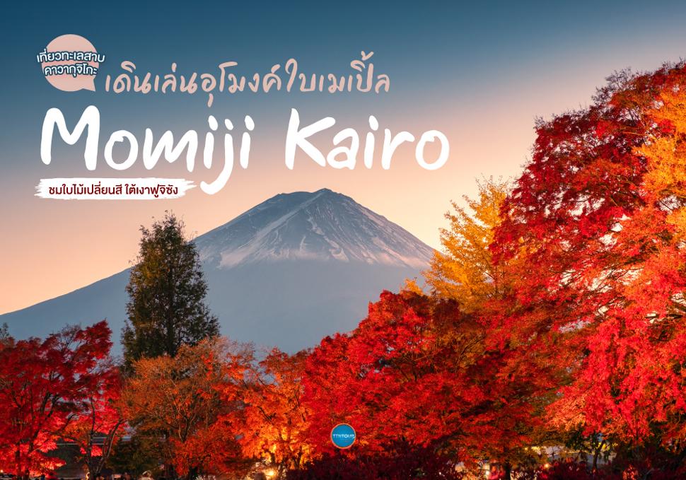 เที่ยวทะเลสาบคาวากุจิโกะ เดินเล่นอุโมงค์ใบเมเปิ้ล Momiji Kairo ชมใบไม้เปลี่ยนสี ใต้เงาฟูจิซัง