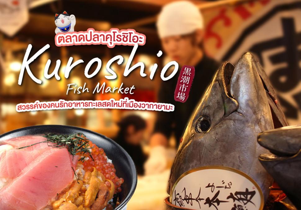 ตลาดปลาคุโรชิโอะ Kuroshio Fish Market สวรรค์ของคนรักอาหารทะเลสดใหม่ที่เมืองวากายามะ