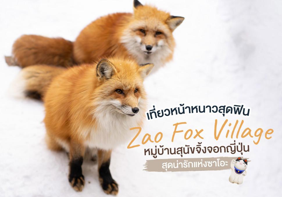 เที่ยวหน้าหนาวสุดฟิน ที่ Zao Fox Village หมู่บ้านสุนัขจิ้งจอกญี่ปุ่นสุดน่ารักแห่งซาโอะ 