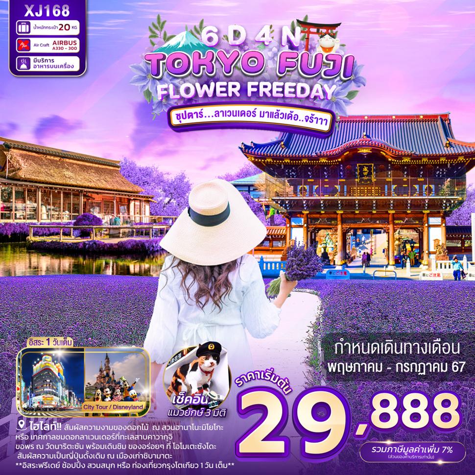 แบนเนอร์ทัวร์ TOKYO FUJI FLOWER FREEDAY 6D 4N BY XJ -- MAY - JUL'24 -- ซุปตาร์...ลาเวนเดอร์ มาแล้วเด้อ..จร้าาา