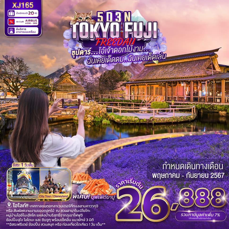 แบนเนอร์ทัวร์ TOKYO FUJI FREEDAY 5D 3N BY XJ -- MAY - SEP'24 -- ซุปตาร์โอ้เจ้าดอกไม้งาม...ฉันเคยเด็ดดม..ฉันเคยเด็ดเล่น