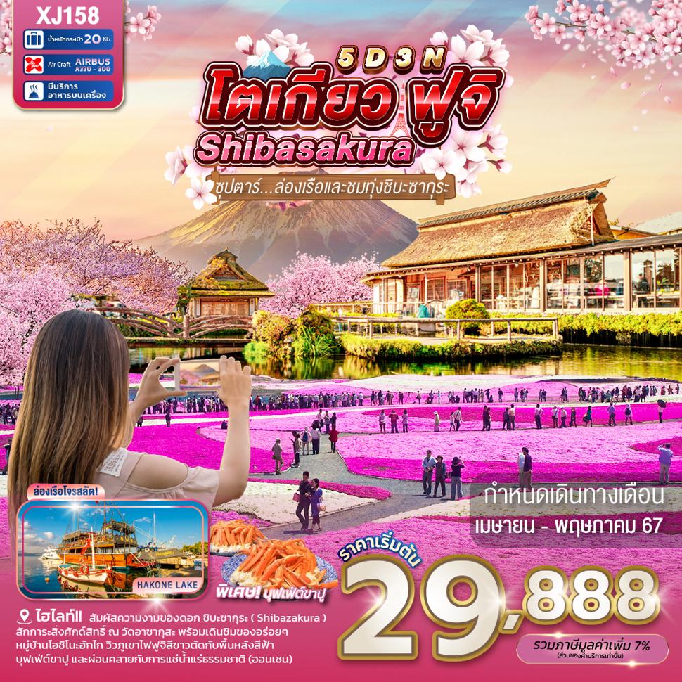 แบนเนอร์ทัวร์ TOKYO FUJI HAKONE SHIBASAKURA 5D 3N BY XJ -- APR - MAY'24 -- ซุปตาร์...ล่องเรือในทุ่งชิบะซากุระ