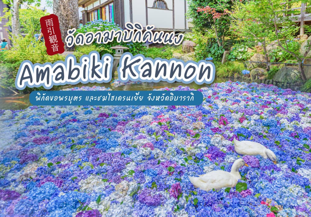 วัดอามาบิกิคันนง Amabiki Kannon
