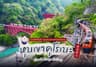 นั่งรถไฟโทร็อกโกะ กินลมชมธรรมชาติ หุบเขาคุโรเบะ Kurobe Gorge Railway จังหวัดโทยามะ