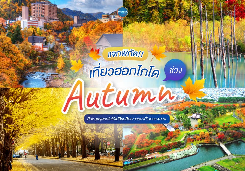 แจกพิกัดเที่ยวฮอกไกโดช่วง Autumn