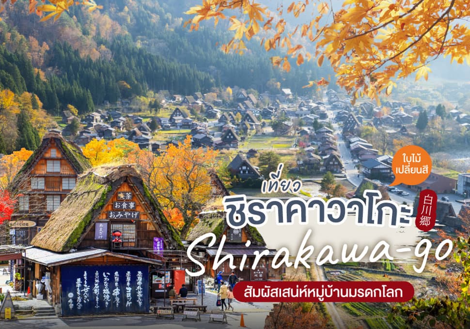 เที่ยว ชิราคาวาโกะ Shirakawa-go ใบไม้เปลี่ยนสี