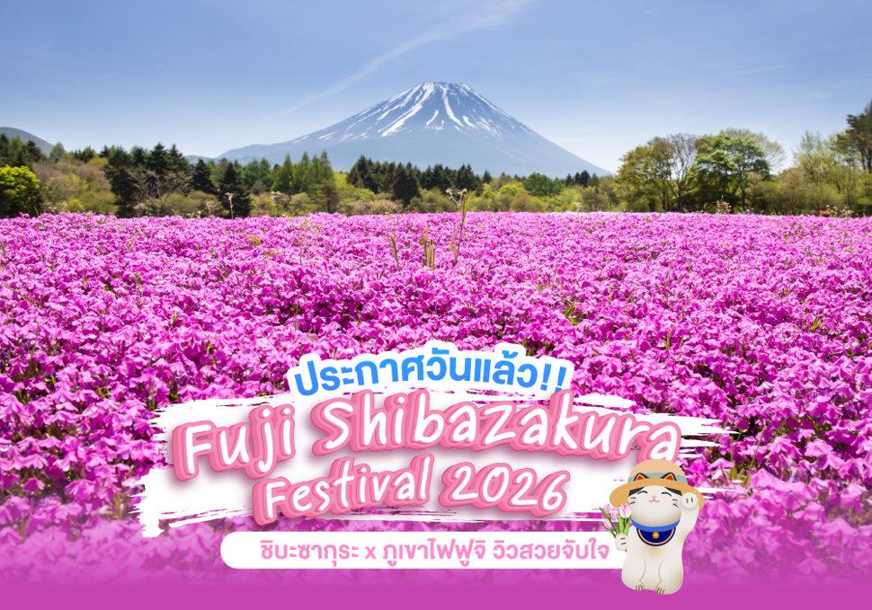 เตรียมตัวเที่ยวเลย Fuji Shibazakura Festival 2026 เทศกาลชมทุ่งชิบะซากุระกับวิวฟูจิสุดอลังการ